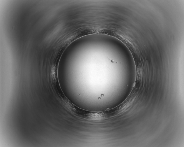 X0000094190238200710261138