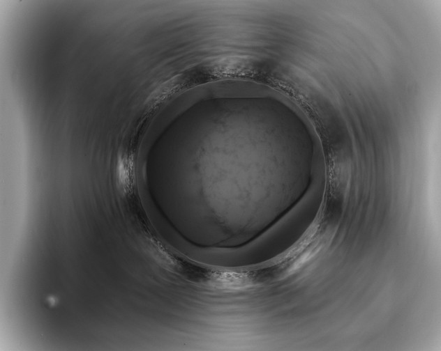X0000094190239200710261138