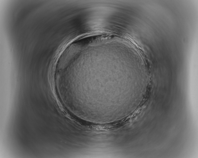 X0000094190241200710261137