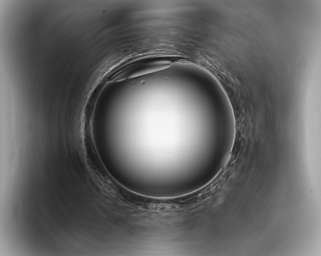 X0000094190242200710261137