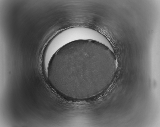 X0000094190243200710261137
