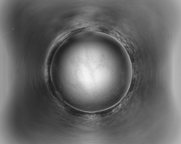 X0000094190245200710261137