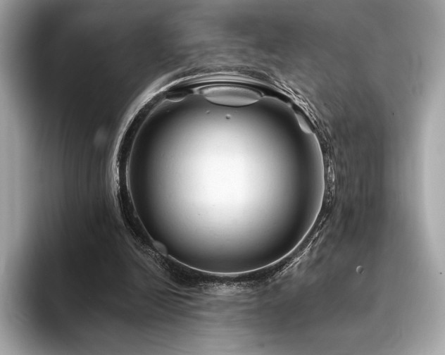 X0000094190246200710261137
