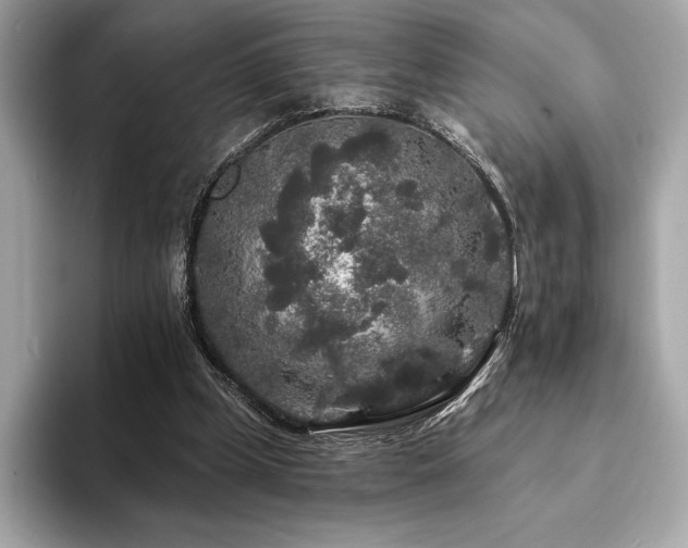 X0000094190249200710261137