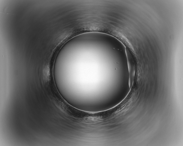 X0000094190251200710261137
