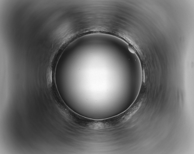X0000094190253200710261137