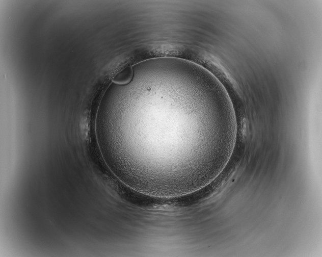 X0000094190259200710261137