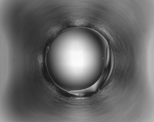 X0000094190260200710261137