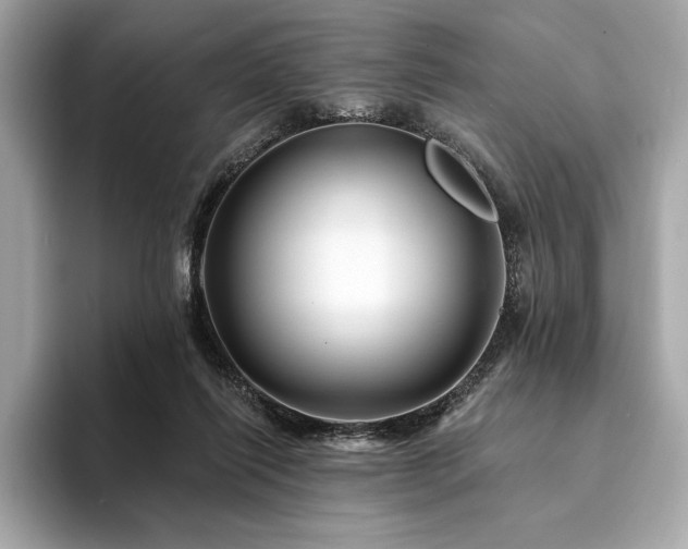 X0000094190262200710261137