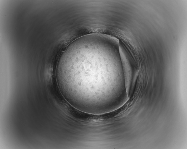 X0000094190263200710261137
