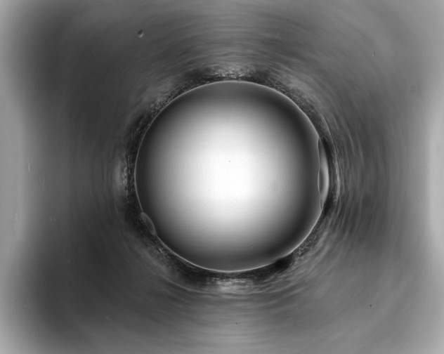 X0000094190268200710261137