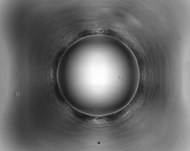 X0000094190270200710261137