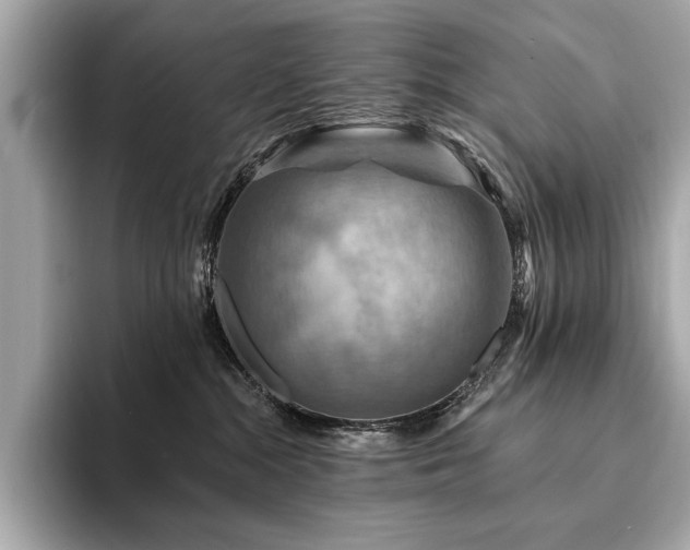 X0000094190284200710261138