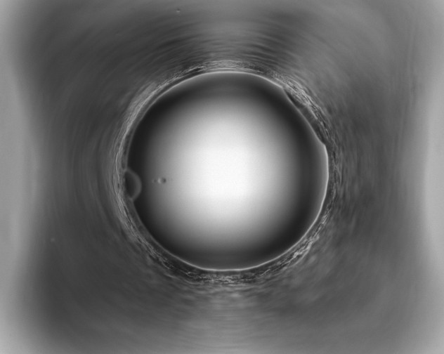 X0000094190289200710261137