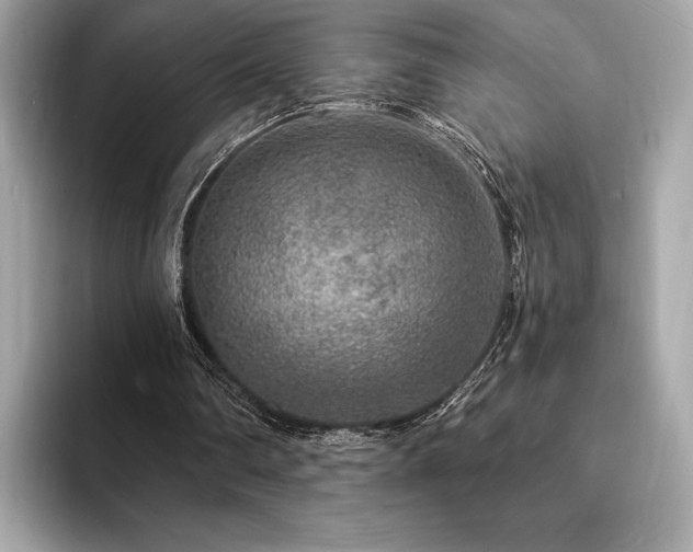 X0000094190290200710261137