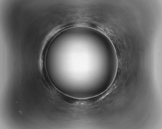 X0000094190294200710261137