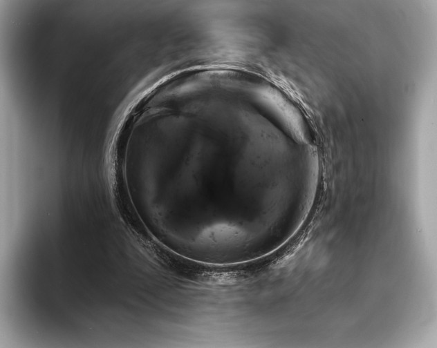 X0000094190295200710261137