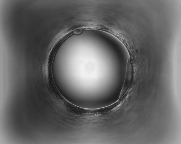 X0000094190296200710261137