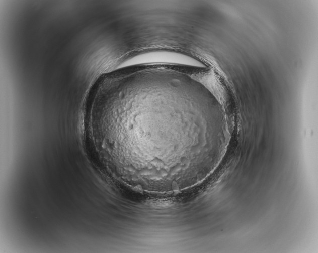 X0000094190299200710261137
