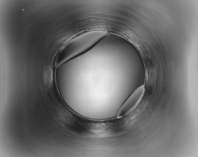 X0000094190301200710261137