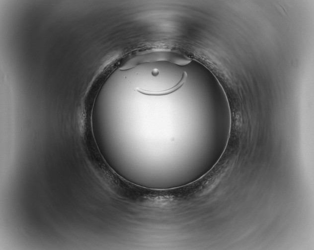 X0000094190304200710261137