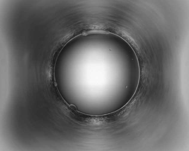 X0000094190305200710261137