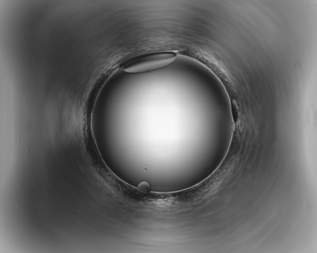 X0000094190306200710261137