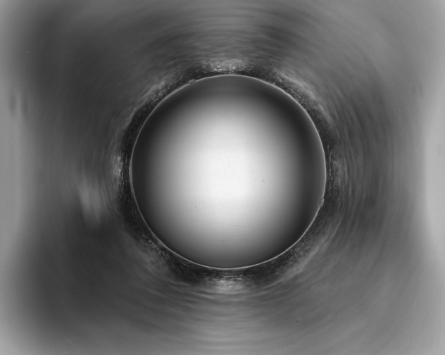 X0000094190308200710261137