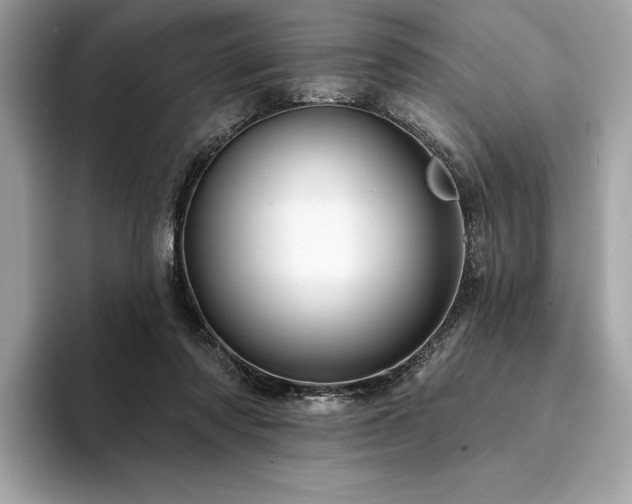 X0000094190310200710261137