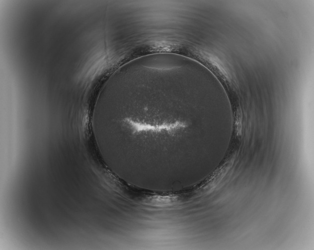 X0000094190314200710261137