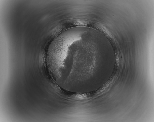 X0000094190322200710261137