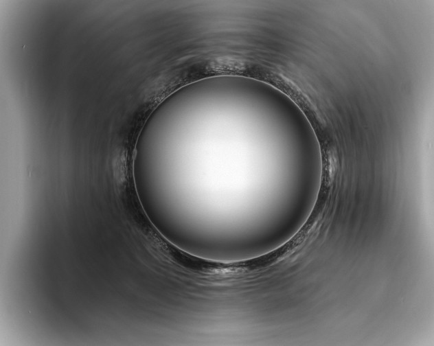 X0000094190323200710261137