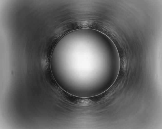 X0000094190324200710261137