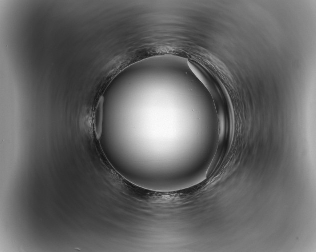 X0000094190329200710261137