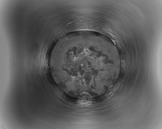 X0000094190331200710261136