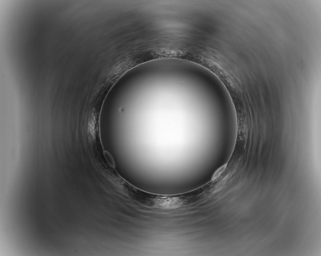 X0000094190334200710261136