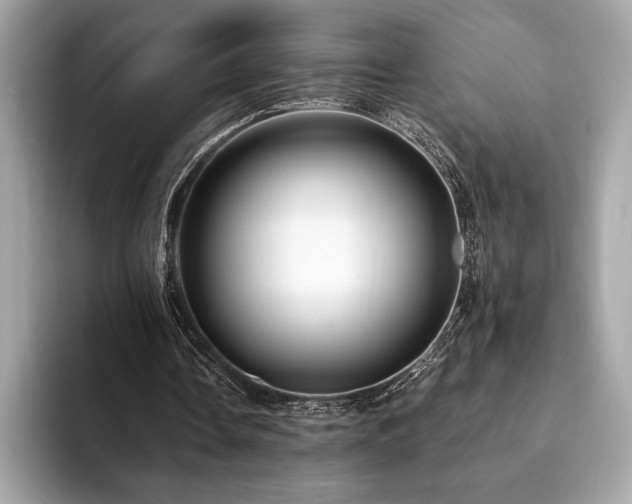 X0000094190338200710261136