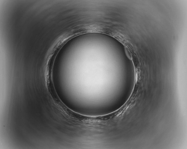 X0000094190339200710261136