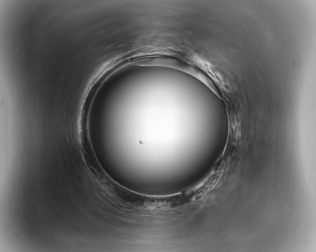 X0000094190340200710261136