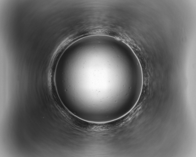 X0000094190341200710261136