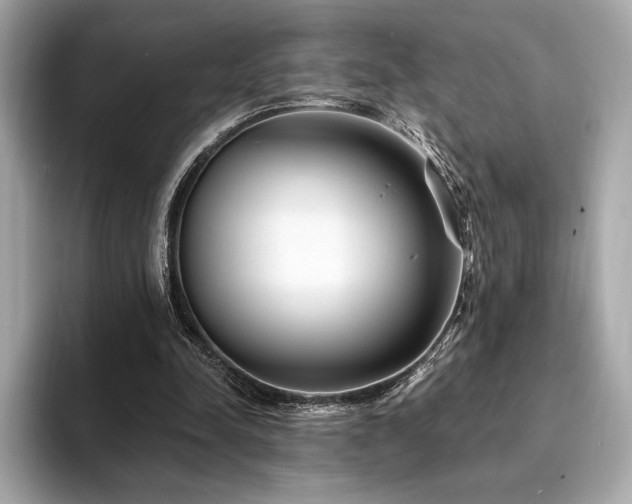 X0000094190342200710261136