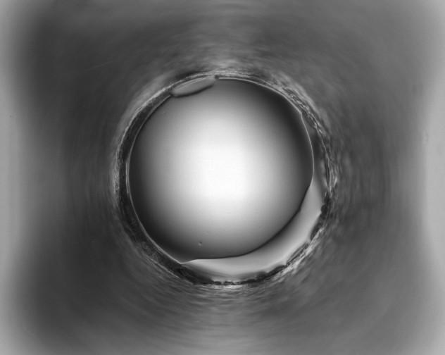 X0000094190344200710261136