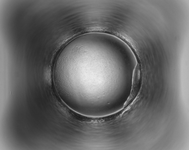 X0000094190345200710261136
