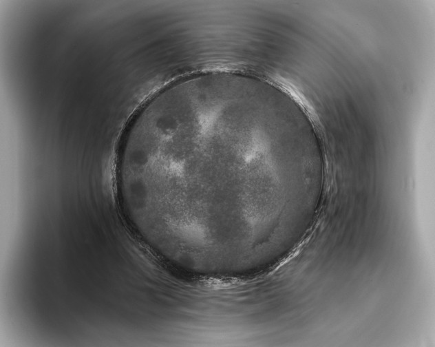 X0000094190346200710261136