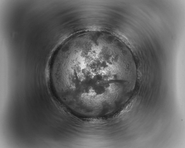 X0000094190347200710261136