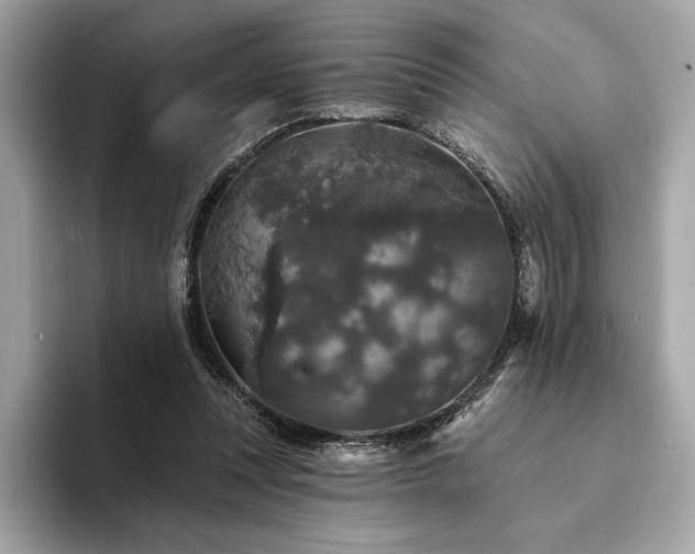 X0000094190351200710261136