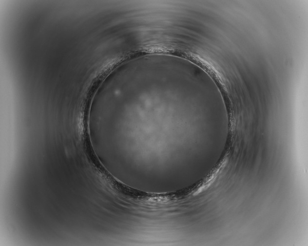 X0000094190353200710261136