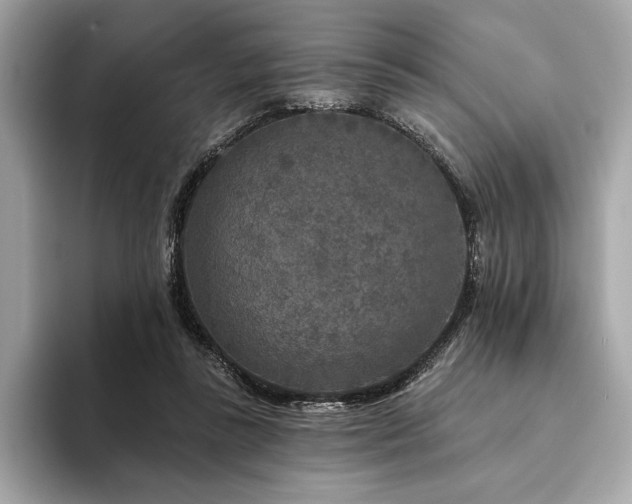 X0000094190355200710261136