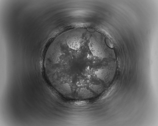 X0000094190357200710261136