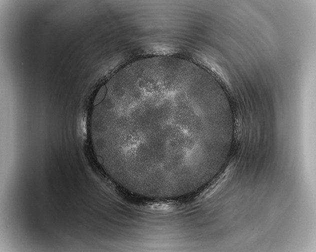 X0000094190358200710261136